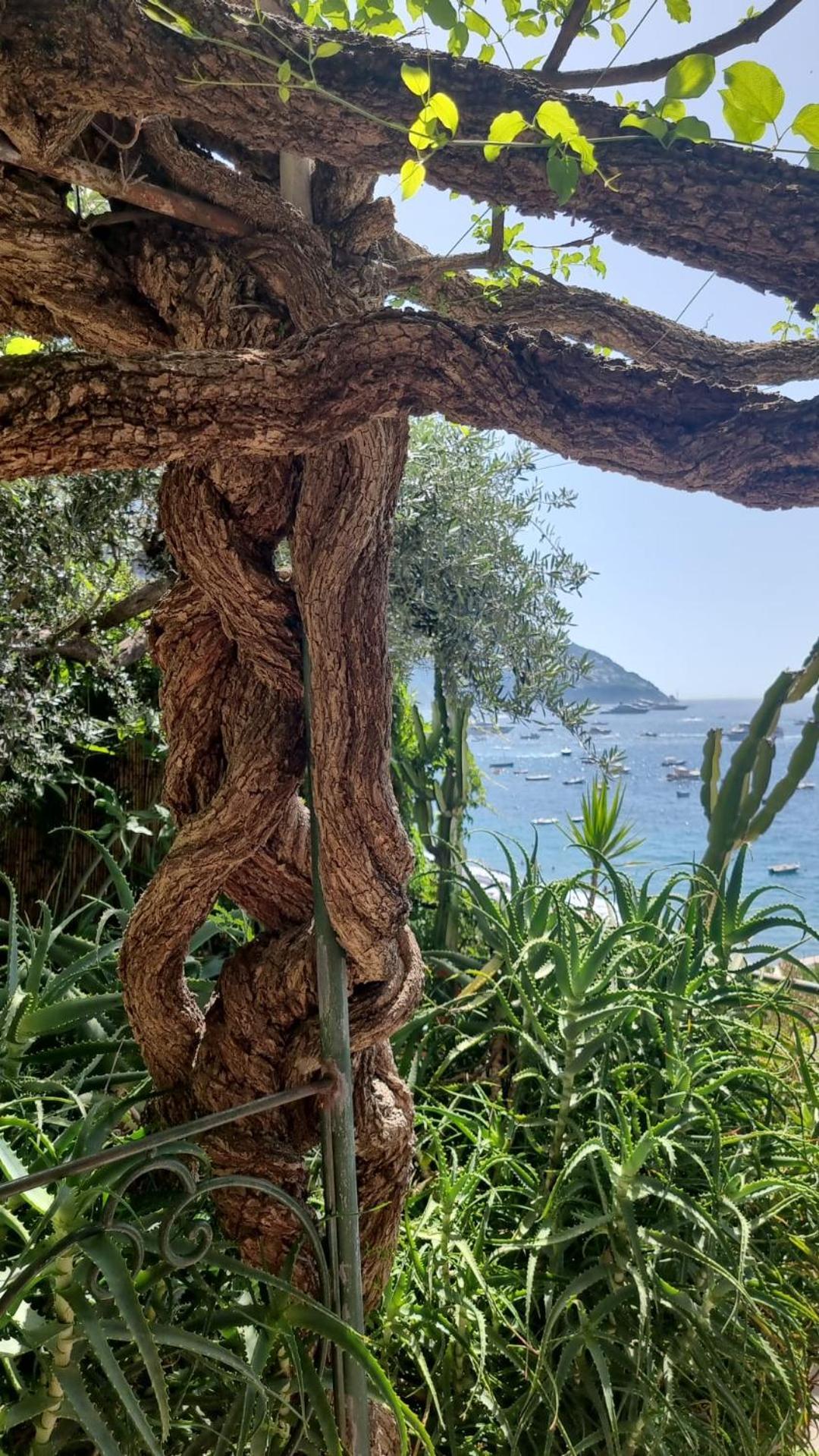 La Dolce Vita A Positano Boutique Hotel Exteriör bild